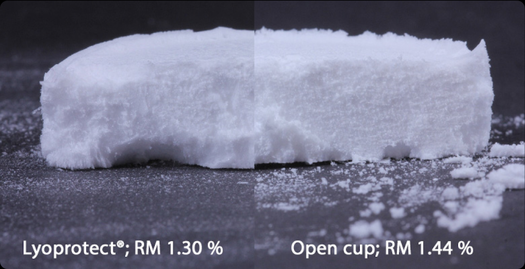 Lyo cake comparison between Lyoprotect cup and open cup