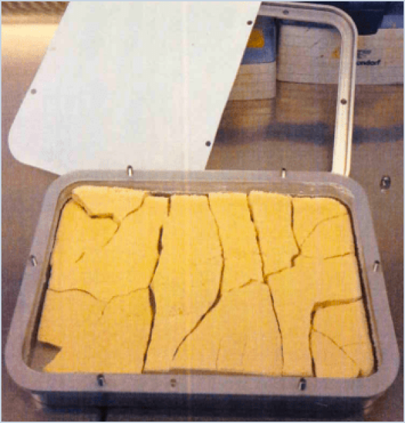 Lyophilization cake in a Lyoprotect Aluminum Tray